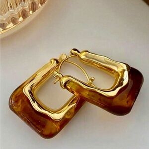Elegant Gold and Brown Hoop Earrings